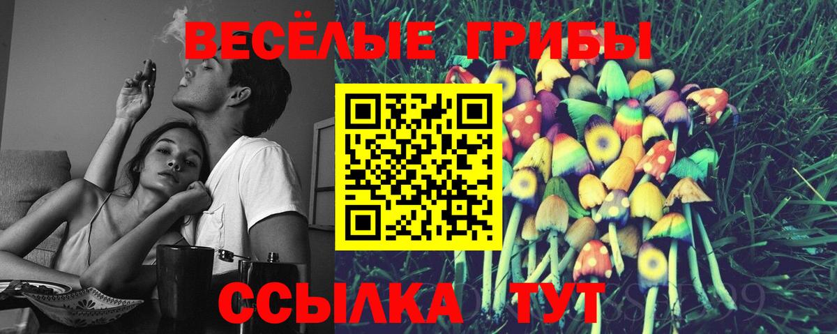 Галлюциногенные грибы MAGIC MUSHROOMS  Псилоцибиновые грибы Magic Shrooms  Муравленко  Вход с VPN 